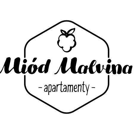 Miod Malvina Apartamenty Krynica Zdroj Buitenkant foto